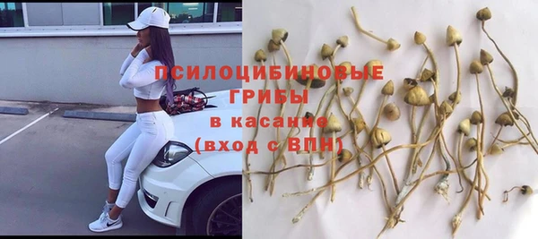 мескалин Аркадак