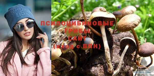 прущие крисы Армянск