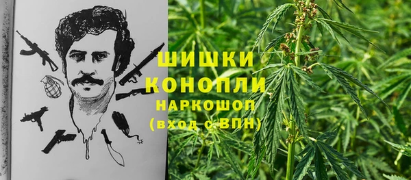 прущие крисы Армянск