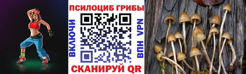 дарнет шоп  Лахденпохья  Псилоцибиновые грибы ЛСД 